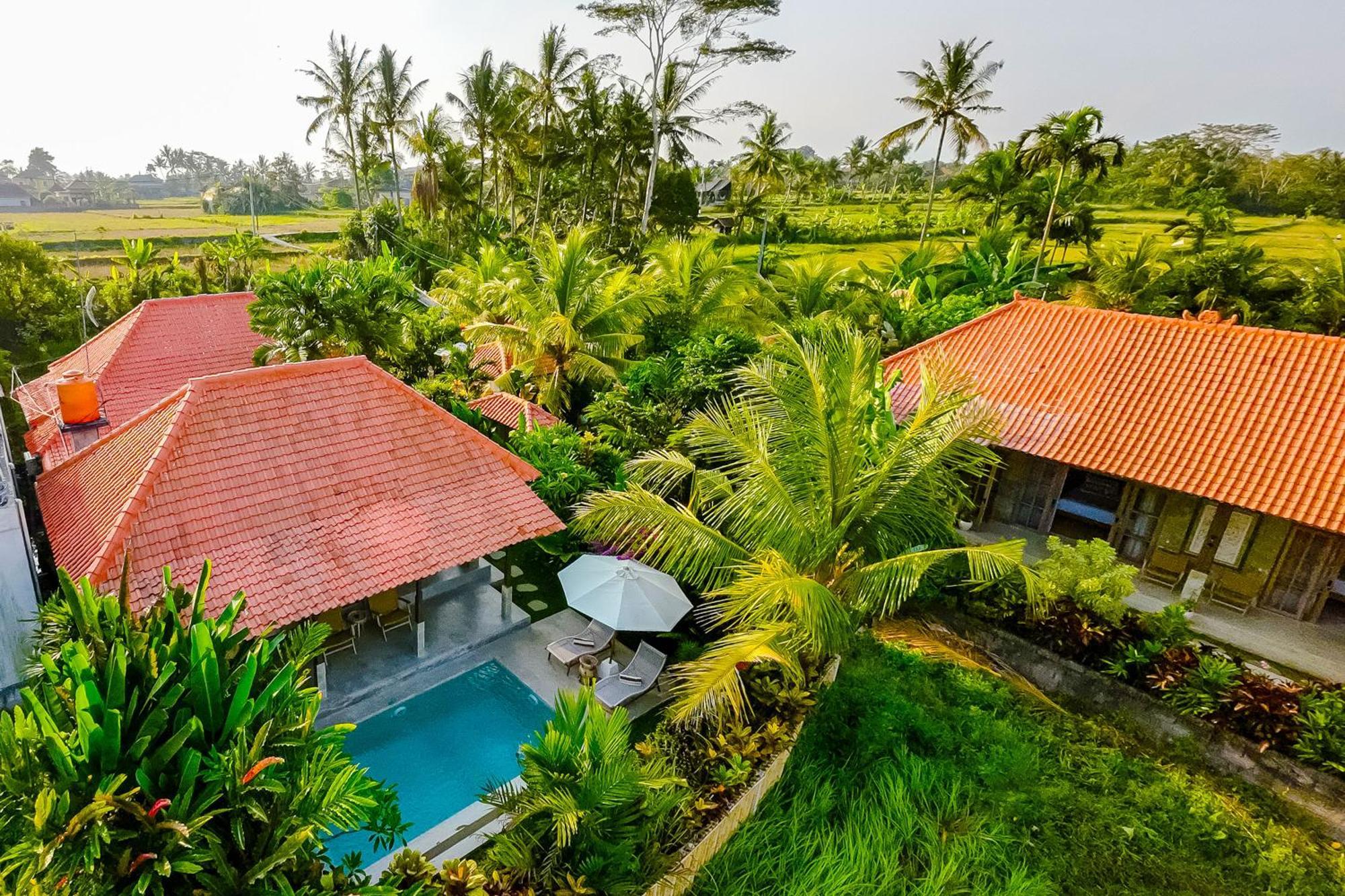Nyaman Villas By Evdekimi Ubud Eksteriør billede