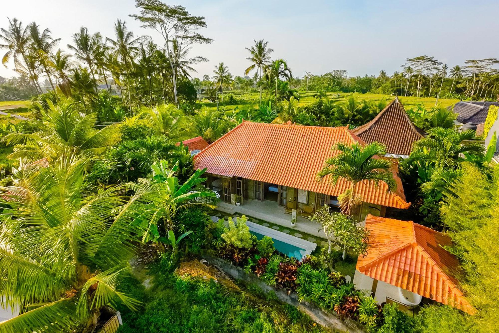 Nyaman Villas By Evdekimi Ubud Eksteriør billede